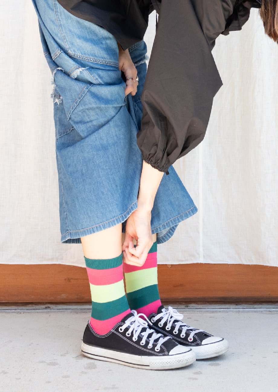 ドラゴンフルーツのボーダー